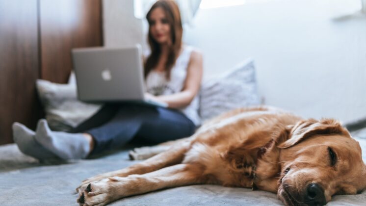Woman relaxes while works from home with lazy dog beside her