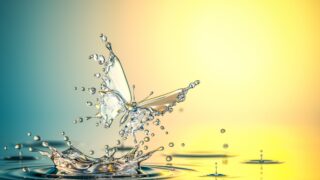 Your Sense of Purpose Is Influenced by Gender, Nationality, and Personality A butterfly emerges from a lake of water with a new sense of purpose