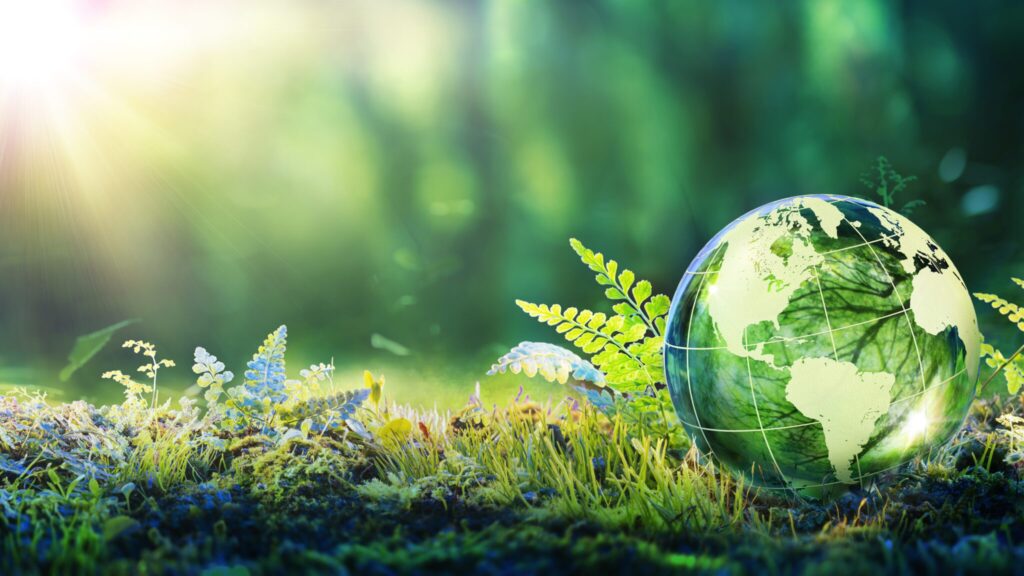 How to Make Your Startup Sustainable from the Start - GLOBIS Insights