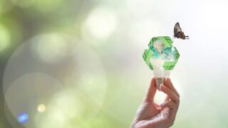 The Golden Rules for Pitching Sustainability to Angel Investors A hand holds a lightbulb upon which a butterfly rests.