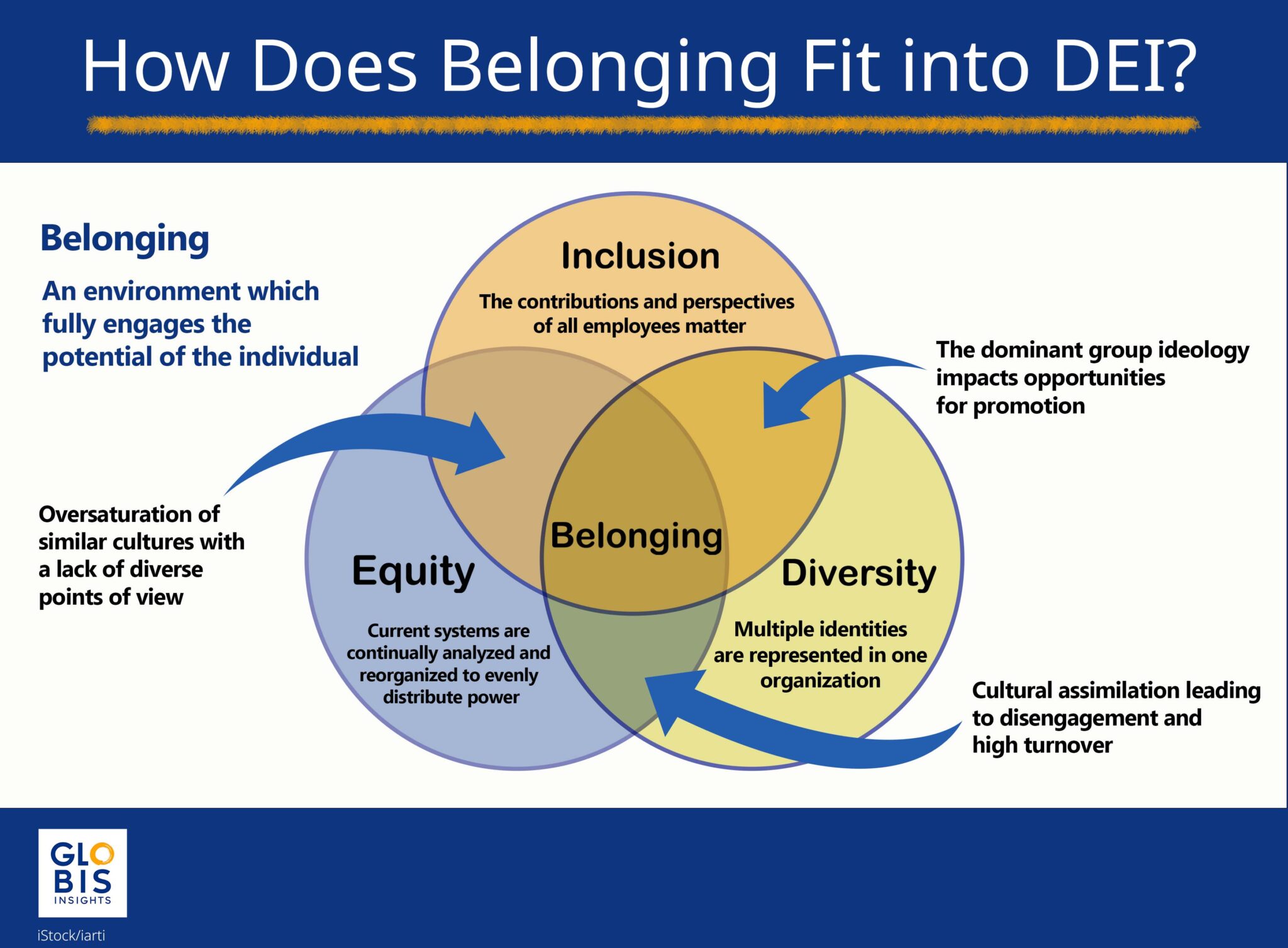 Diagram of the pillars of DEIB - diversity, equity, inclusion, belonging
