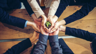 How to Find Your (Elemental) Role in Sustainability-Driven Innovation Businesspeople reach to the center of a table to hold up a plant, each playing their own role in sustainability-driven innovation